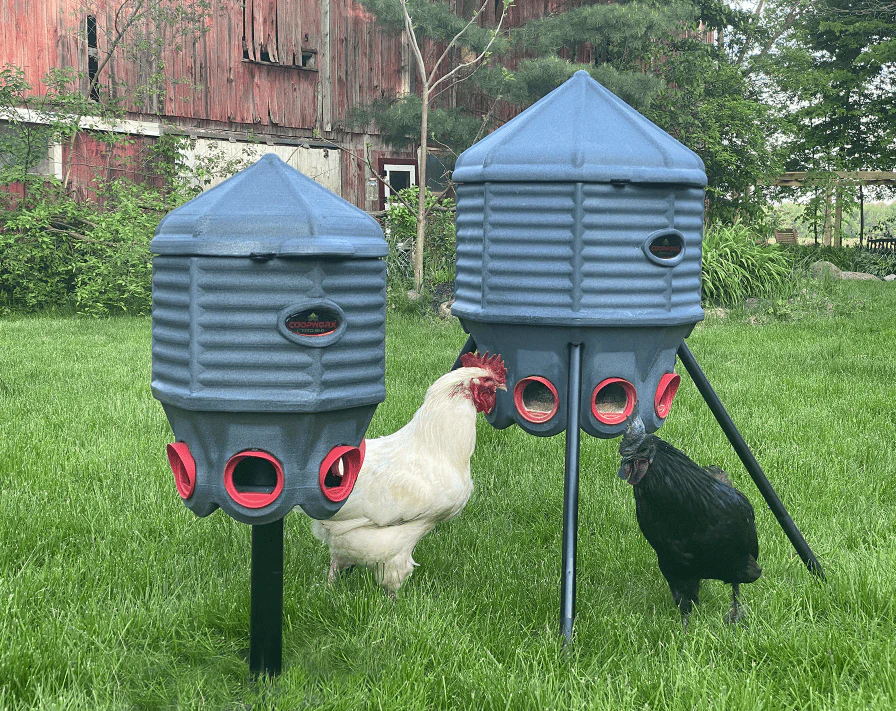 SureGrow™ 40lb Feed Silo by CoopWorx - Image 8